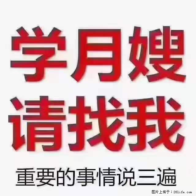 为什么要学习月嫂，育婴师？ - 新手上路 - 三亚生活社区 - 三亚28生活网 sanya.28life.net