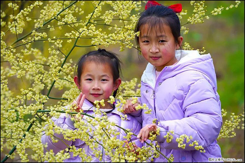 【春天，广西桂林灌阳县向您发出邀请！】米珠山前有片山苍子花在飘香 - 游山玩水 - 三亚生活社区 - 三亚28生活网 sanya.28life.net