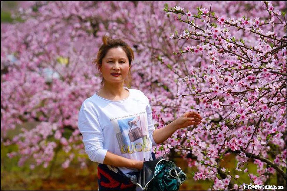 【春天，广西桂林灌阳县向您发出邀请！】官庄村有个醉美的桃花园 - 游山玩水 - 三亚生活社区 - 三亚28生活网 sanya.28life.net