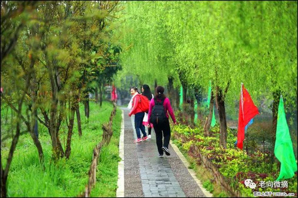 【春天，广西桂林灌阳县向您发出邀请！】江口老街又逢春 - 游山玩水 - 三亚生活社区 - 三亚28生活网 sanya.28life.net