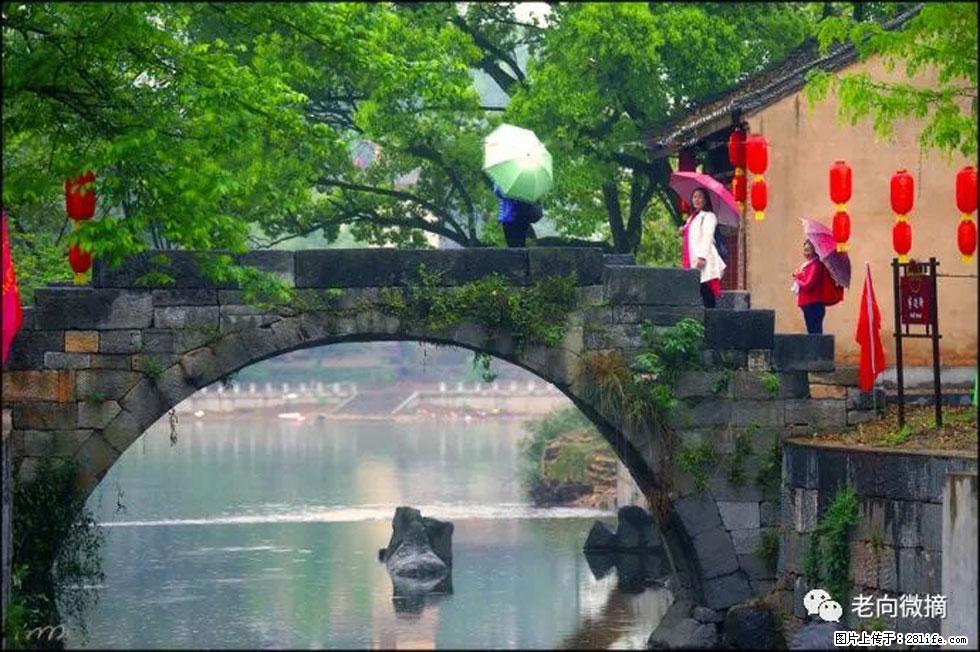 【春天，广西桂林灌阳县向您发出邀请！】江口老街又逢春 - 游山玩水 - 三亚生活社区 - 三亚28生活网 sanya.28life.net