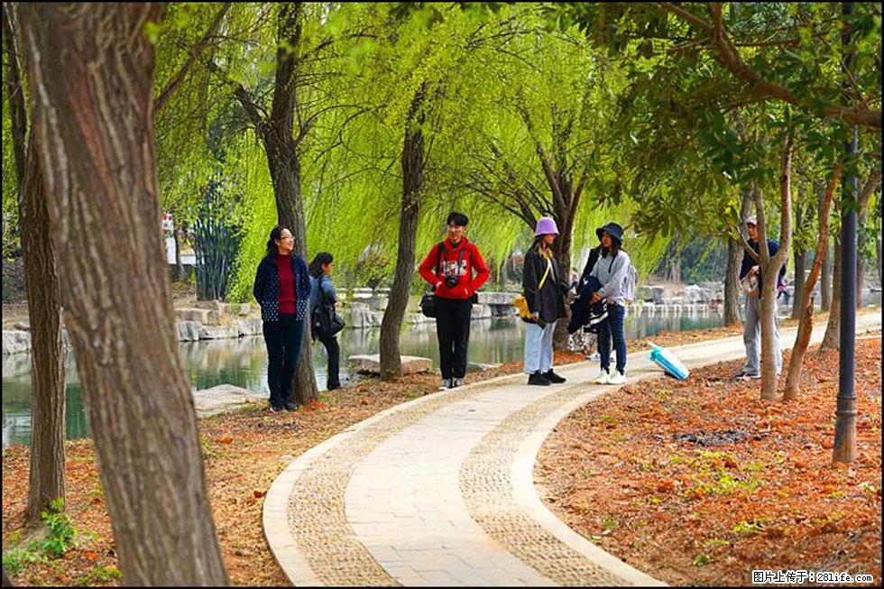 【春天，广西桂林灌阳县向您发出邀请！】江口老街又逢春 - 游山玩水 - 三亚生活社区 - 三亚28生活网 sanya.28life.net