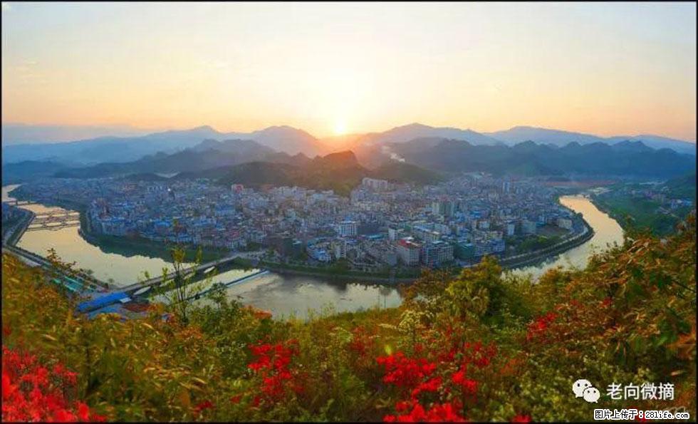 【春天，广西桂林灌阳县向您发出邀请！】登麒麟山，相约映山红 - 游山玩水 - 三亚生活社区 - 三亚28生活网 sanya.28life.net