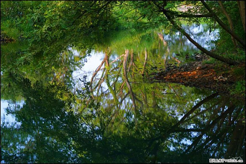 【春天，广西桂林灌阳县向您发出邀请！】熊家寨湿地公园 - 游山玩水 - 三亚生活社区 - 三亚28生活网 sanya.28life.net