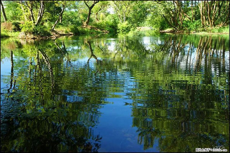 【春天，广西桂林灌阳县向您发出邀请！】熊家寨湿地公园 - 游山玩水 - 三亚生活社区 - 三亚28生活网 sanya.28life.net