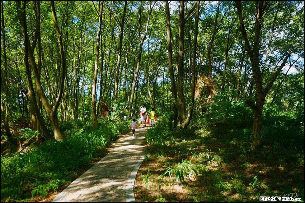 【春天，广西桂林灌阳县向您发出邀请！】熊家寨湿地公园 - 游山玩水 - 三亚生活社区 - 三亚28生活网 sanya.28life.net