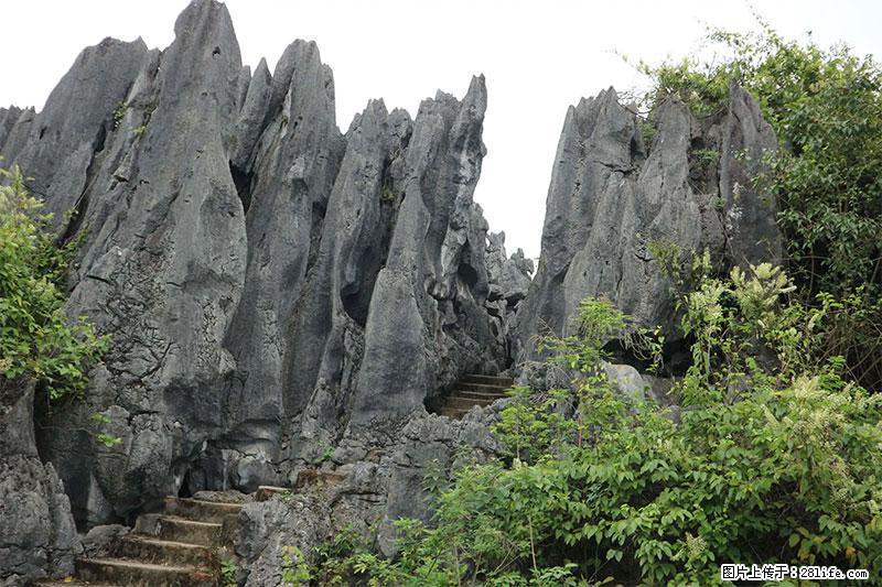 桂林旅游名城景点：灌阳文市石林 - 游山玩水 - 三亚生活社区 - 三亚28生活网 sanya.28life.net