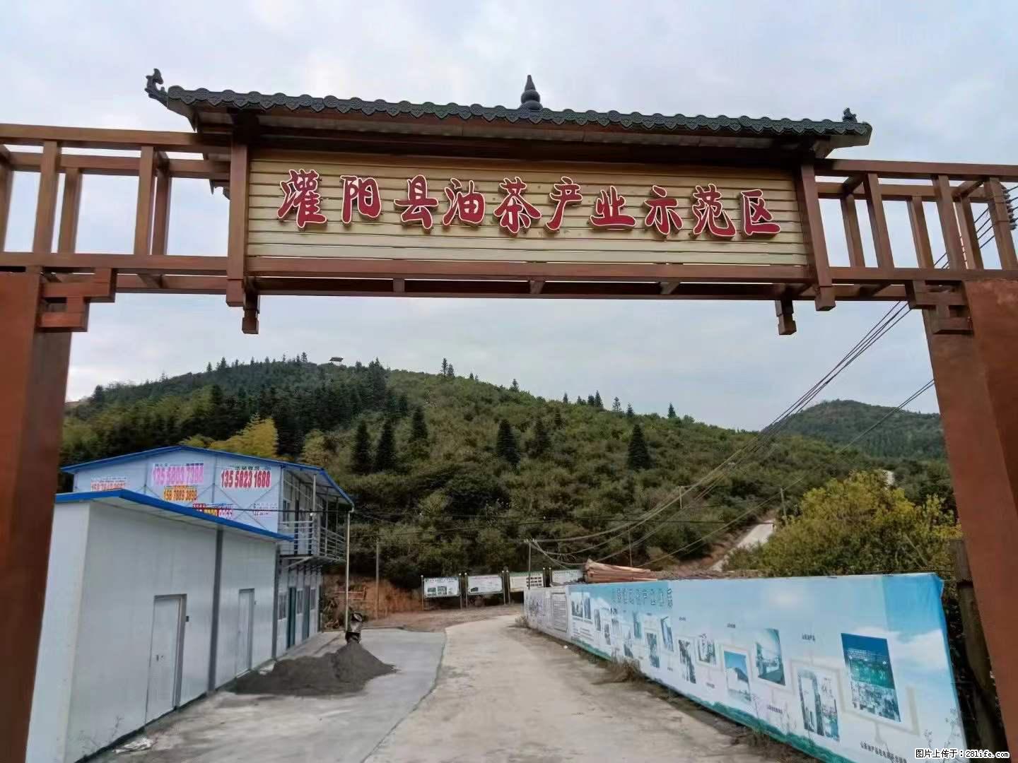 【灌阳县油茶产业示范区】一个有着充实的精神生活的人，对待身外之物自会有一种淡泊的态度 - 土特产 - 饮食特产 - 三亚分类信息 - 三亚28生活网 sanya.28life.net