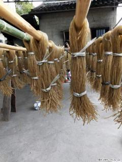 【灌阳正宗红薯粉】美女家里自己做的，干净卫生，假一赔十，价格合理，抢购电话：13737312895 - 三亚28生活网 sanya.28life.net