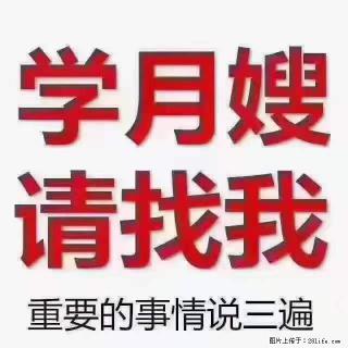为什么要学习月嫂，育婴师？ - 三亚28生活网 sanya.28life.net