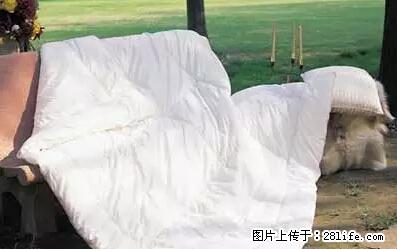 被子有异味？只要这样做，比晒太阳还强100倍！ - 家居生活 - 三亚生活社区 - 三亚28生活网 sanya.28life.net