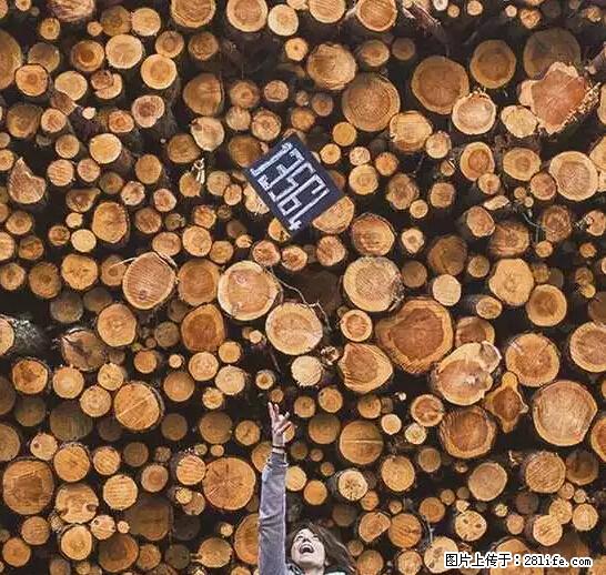 辞掉工作周游世界？现在他们在洗厕所…… - 游山玩水 - 三亚生活社区 - 三亚28生活网 sanya.28life.net
