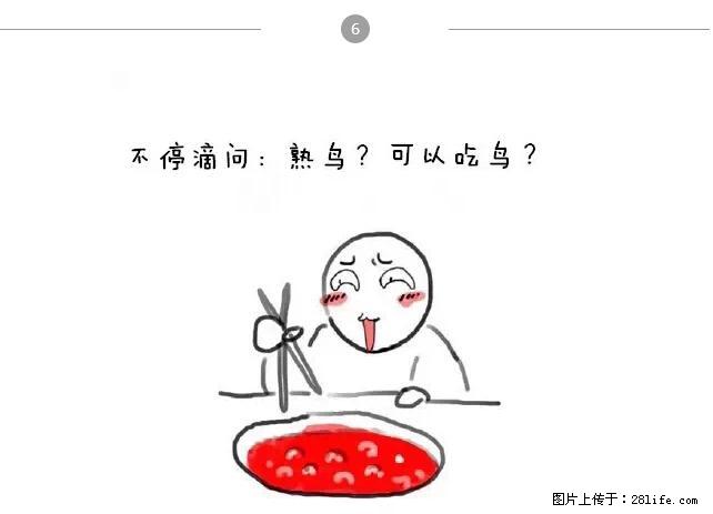 千万不要和这9种哈卵一起吃火锅！ - 美食天地 - 三亚生活社区 - 三亚28生活网 sanya.28life.net