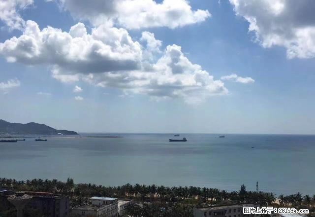 碧海蓝天正面看海大两房出租半年6万，本小区有多套房子出租， - 房屋出租 - 房屋租售 - 三亚分类信息 - 三亚28生活网 sanya.28life.net