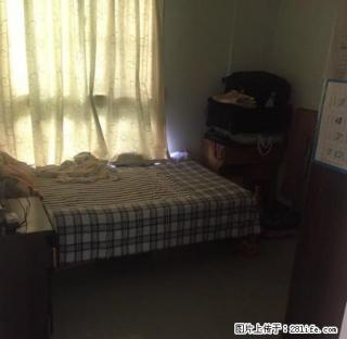 三亚市中心 交通方便 两房年租3000元一个月，业主诚心出租 - 三亚28生活网 sanya.28life.net