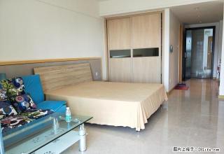 清水湾雅居乐 海景 小户型 出租 价格实惠 - 三亚28生活网 sanya.28life.net