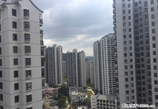 三亚过年短租迎宾路大四房 可做饭 三个月每月11000 - 房屋出租 - 房屋租售 - 三亚分类信息 - 三亚28生活网 sanya.28life.net