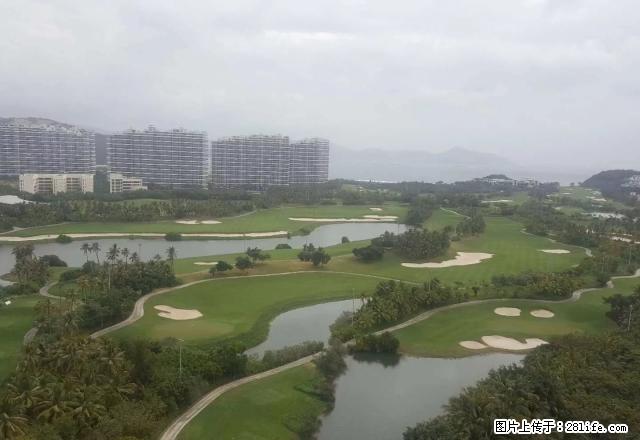 半山半岛五期海景两房半年、三个月、二个月、一个月 可以预定 - 房屋出租 - 房屋租售 - 三亚分类信息 - 三亚28生活网 sanya.28life.net