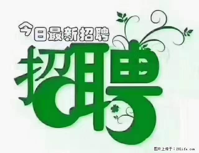 【招聘摄像师】待遇：试用期6000元/月，转正7000元/月+五险一金+餐补+节日福利+奖金 - 职场交流 - 三亚生活社区 - 三亚28生活网 sanya.28life.net
