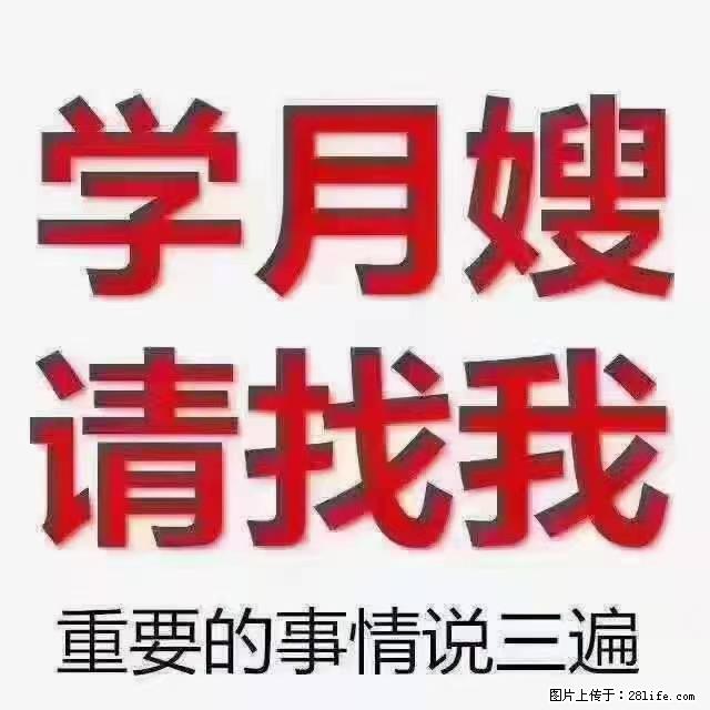 【招聘】月嫂，上海徐汇区 - 职场交流 - 三亚生活社区 - 三亚28生活网 sanya.28life.net