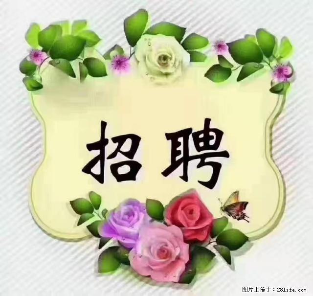 【招聘】住家育儿嫂，上户日期：4月4日，工作地址：上海 黄浦区 - 职场交流 - 三亚生活社区 - 三亚28生活网 sanya.28life.net