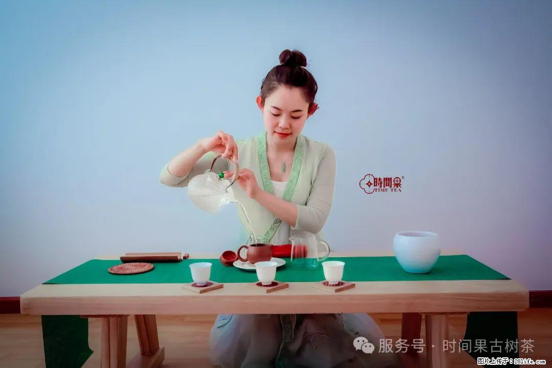 时间果百年古树龙珠普洱生茶 - 购物交流 - 三亚生活社区 - 三亚28生活网 sanya.28life.net