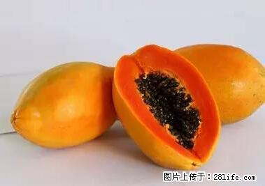 晕车、脚气、牙齿变黄、皮肤粗糙？学会这些三分钟搞定！ - 三亚生活资讯 - 三亚28生活网 sanya.28life.net