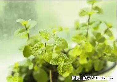 晕车、脚气、牙齿变黄、皮肤粗糙？学会这些三分钟搞定！ - 三亚生活资讯 - 三亚28生活网 sanya.28life.net