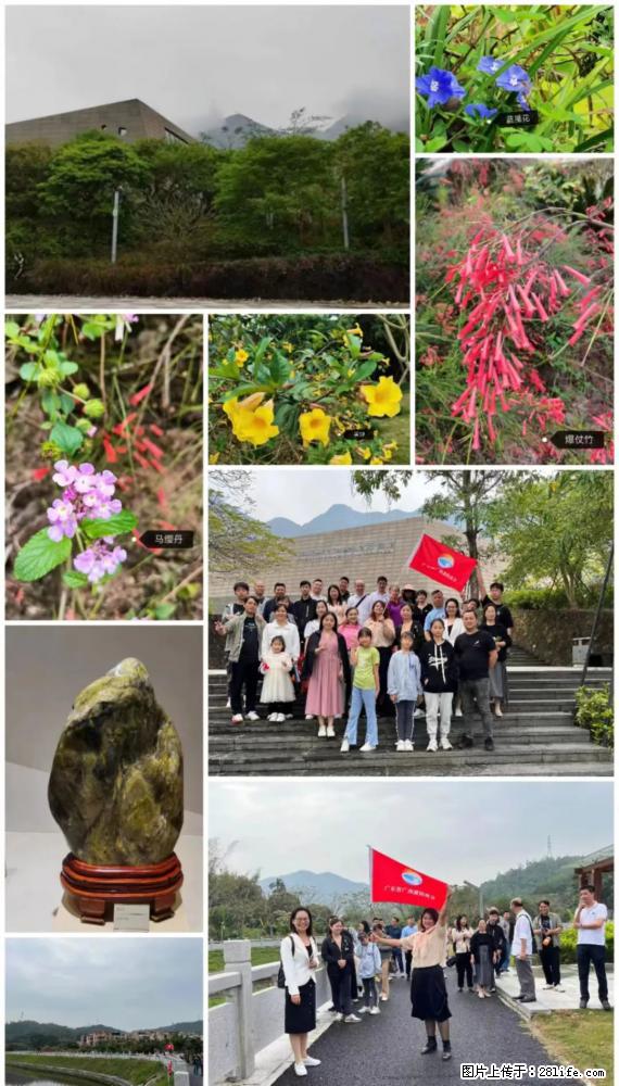 “粤灌文化 美好生活”油茶文化主题活动在广东深圳成功举办 - 三亚生活资讯 - 三亚28生活网 sanya.28life.net