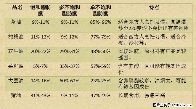 揭秘茶油的5大核心营养成分！被称为人体健康的“守护盾”！ - 三亚生活资讯 - 三亚28生活网 sanya.28life.net