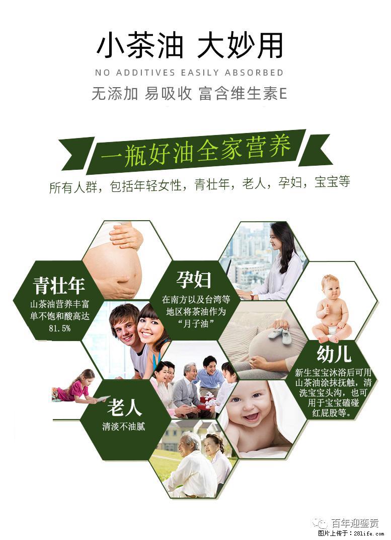 世界没有真相，只有认知，最好的食用油是中国的山茶油！ - 三亚生活资讯 - 三亚28生活网 sanya.28life.net