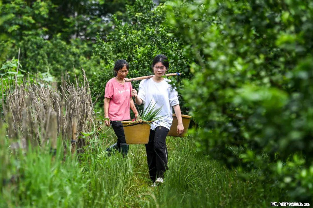 全网追的“扁担女孩”，找了一份暑假工，时薪12元 - 三亚生活资讯 - 三亚28生活网 sanya.28life.net