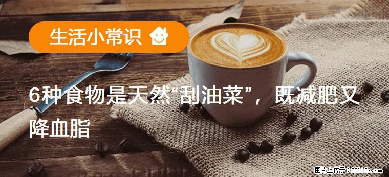 【生活小常识】6种食物是天然“刮油菜”，既减肥又降血脂 - 三亚生活资讯 - 三亚28生活网 sanya.28life.net