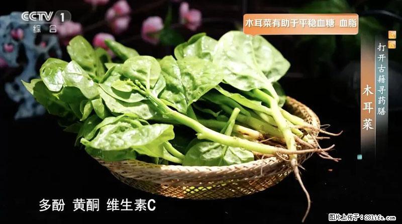 比牛奶补钙还厉害！凉血解毒、稳血糖...这菜冬天必吃，很多人却当草 - 三亚生活资讯 - 三亚28生活网 sanya.28life.net