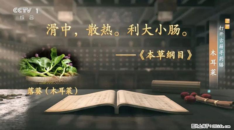 比牛奶补钙还厉害！凉血解毒、稳血糖...这菜冬天必吃，很多人却当草 - 三亚生活资讯 - 三亚28生活网 sanya.28life.net
