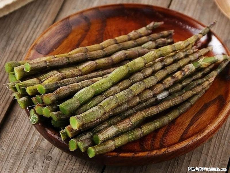 铁皮石斛的作用与功能主治 - 三亚生活资讯 - 三亚28生活网 sanya.28life.net